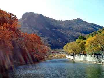 天天彩好彩天天免费，山东龙口海景房骗局